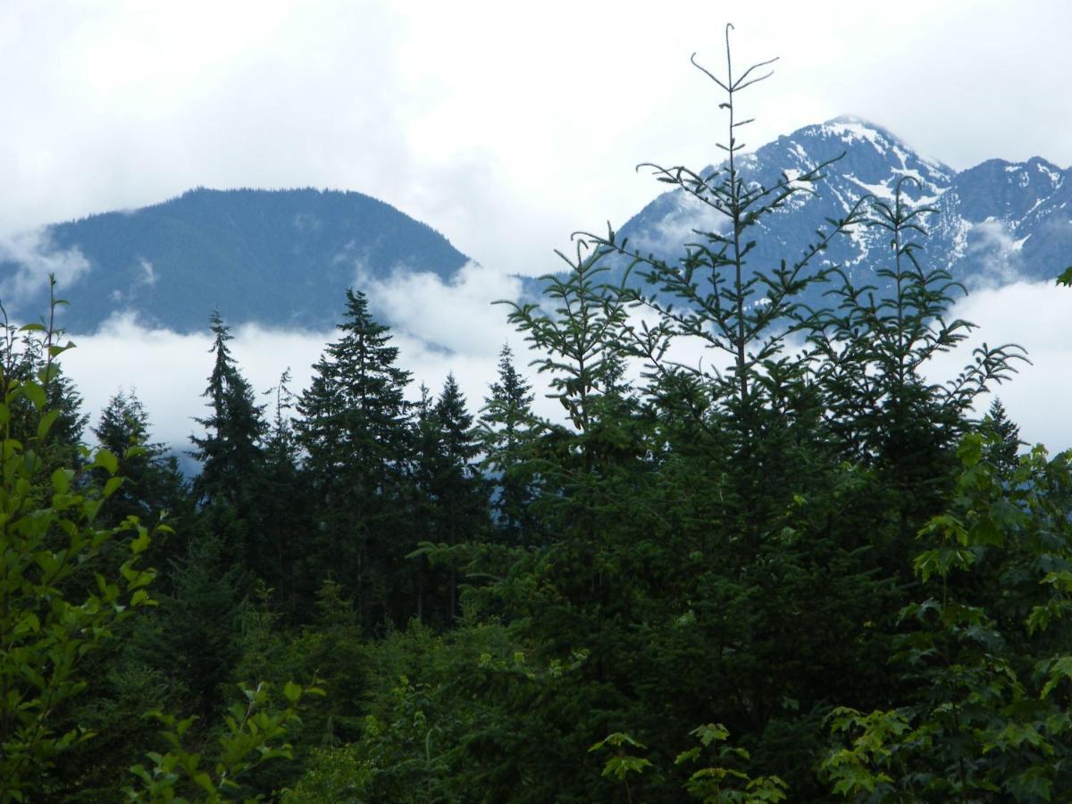 Rooster Hill Guest House Port Angeles Buitenkant foto